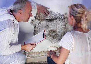 "Image: A woman looking at mold stains on a wall in frustration in a building located in Sarasota, Venice, Lakewood Ranch, and Tampa, Florida. Her expression reflects the annoyance and concern caused by the presence of mold, emphasizing the need for Mold Check and Inspect's services to address such issues."