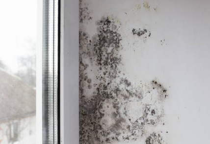 "Image: A woman looking at mold stains on a wall in frustration in a building located in Sarasota, Venice, Lakewood Ranch, and Tampa, Florida. Her expression reflects the annoyance and concern caused by the presence of mold, emphasizing the need for Mold Check and Inspect's services to address such issues."