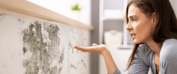 "Image: A woman looking at mold stains on a wall in frustration in a building located in Sarasota, Venice, Lakewood Ranch, and Tampa, Florida. Her expression reflects the annoyance and concern caused by the presence of mold, emphasizing the need for Mold Check and Inspect's services to address such issues."