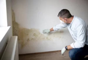 "Image: A person examining stains on the wall of their office, considering the need for mold testing. The image underscores the importance of addressing potential mold concerns in the workplace for a healthy and safe environment."
