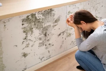 "Image: A woman looking at mold stains on a wall in frustration in a building located in Sarasota, Venice, Lakewood Ranch, and Tampa, Florida. Her expression reflects the annoyance and concern caused by the presence of mold, emphasizing the need for Mold Check and Inspect's services to address such issues."